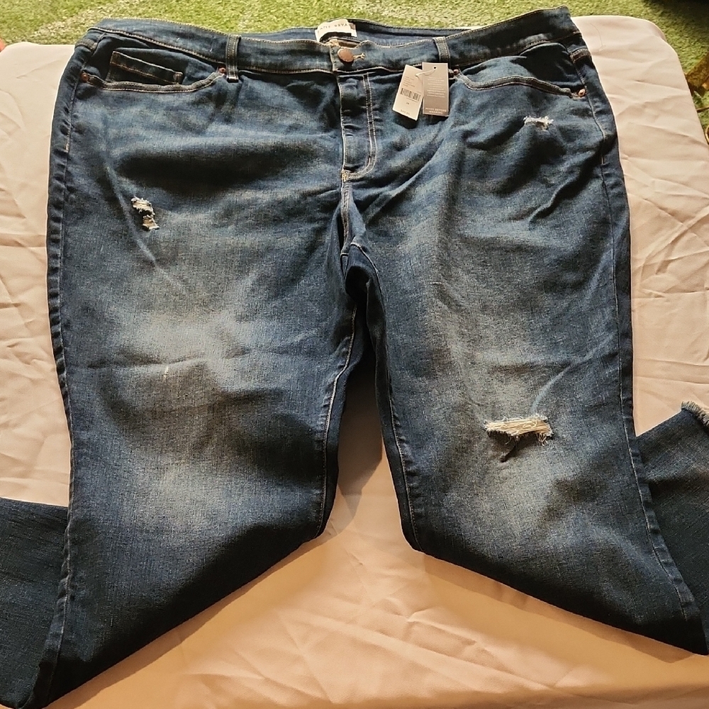 Lane Bryant Blue Denim Jeans